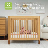 Babyletto x Avocado Organic Mini Crib Mattress