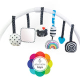 Sassy Milestone Activity Gym