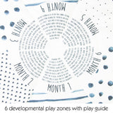 Sassy Milestone Activity Gym