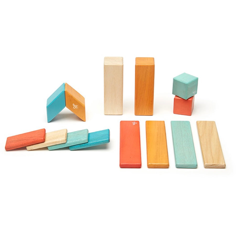 Tegu Magnetic Wooden Blocks retailer