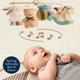 Itzy Ritzy Itzy Music & Motion Activity Gym