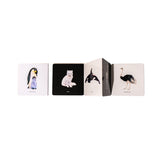 Baby's Black & White Contrast Book