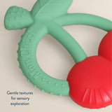 Itzy Ritzy Bitzy Shake Rattle And Teether