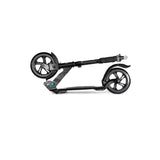 Micro Flex Scooter