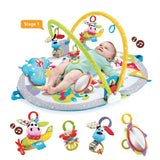 Gymotion Lay To Sit-Up Play - Dimples Baby Brooklyn