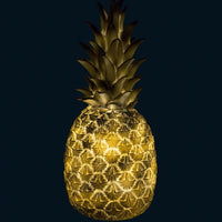 Pineapple Nightlight - Dimples Baby Brooklyn