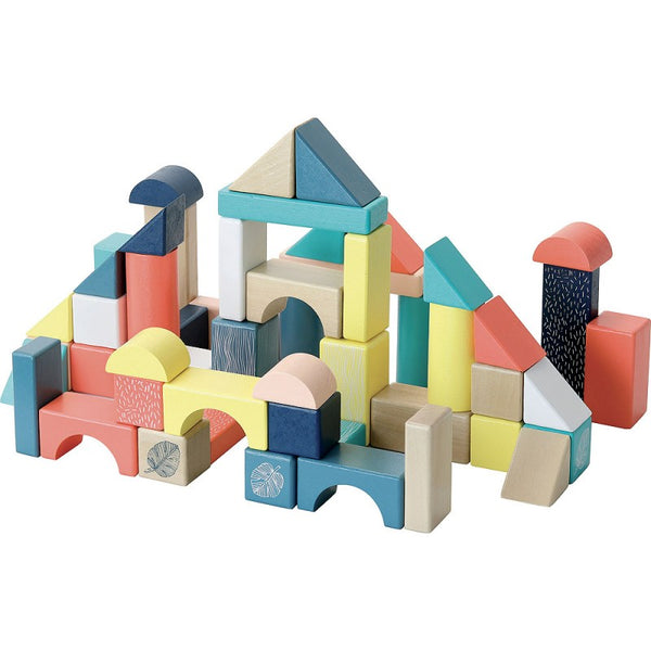Vilac 54 Cubes Wooden Blocks